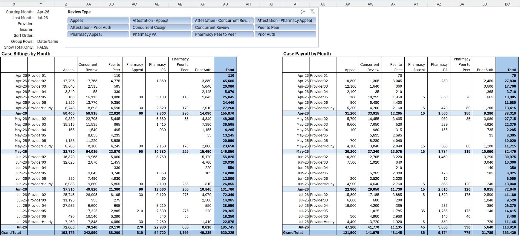 Excel provider dashboard showing case billings and payroll by month, filterable by review type